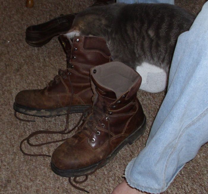 PussInBoots01