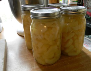 Quart Jars of White Potatoes cut into cubes