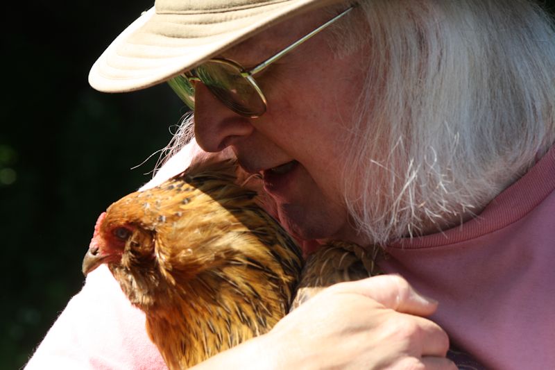 Daisy is an American chicken that loves to be hugged by John.