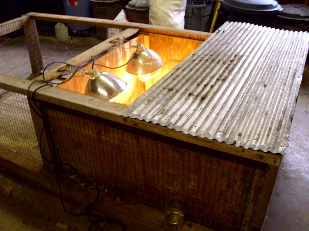 Brooder Box with Heat Lamps and Cover
