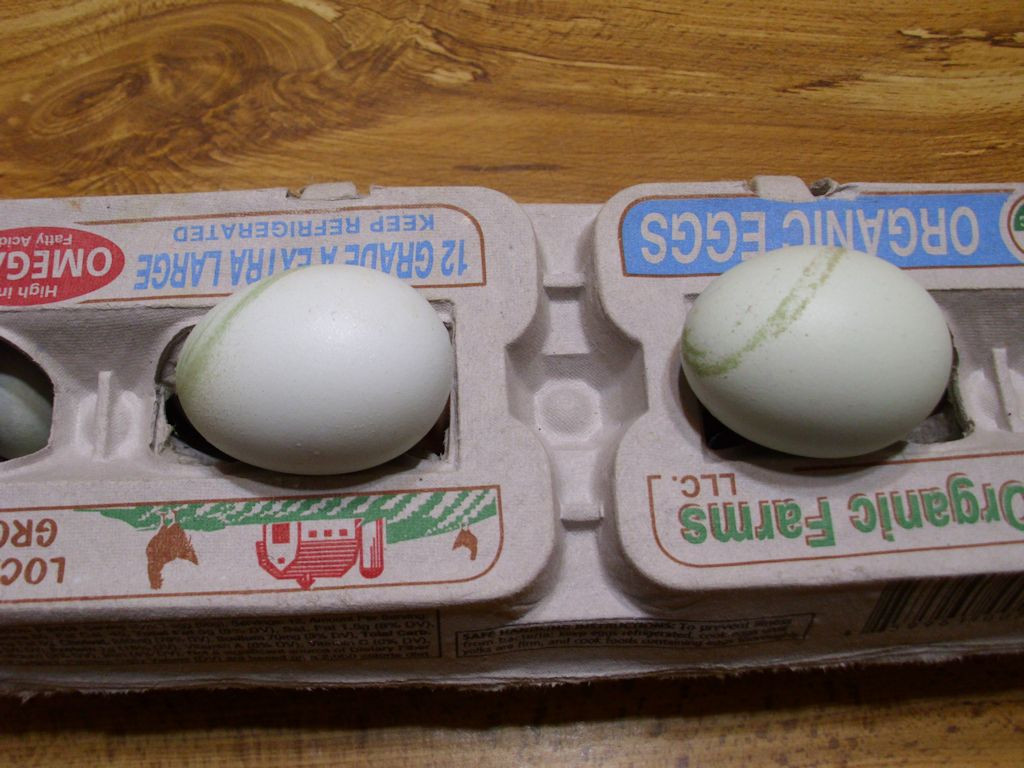 Two blue eggs with a swirled green stripe on them.