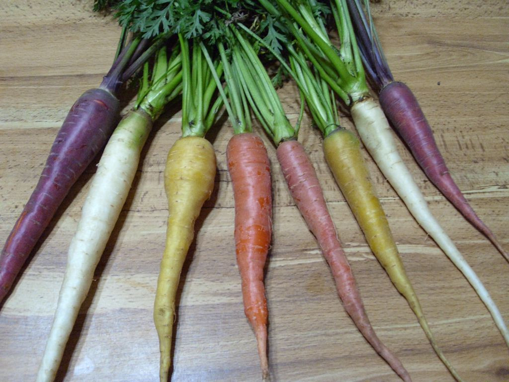 Colorful carrots make for exceptional meals.